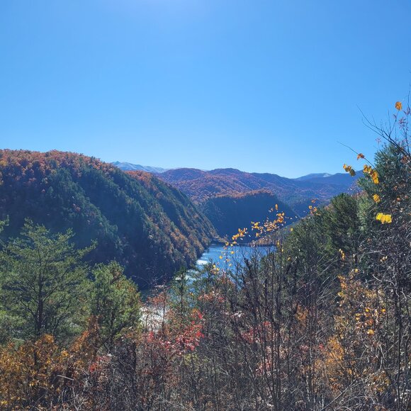 Meet your Posher, Cassandra - Picture 1 of 1